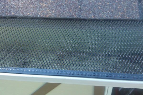 Mesh leaf guard over a gutter
